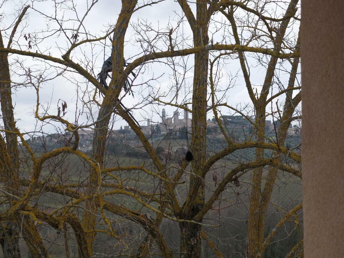 Uliveta Apartment San Gimignano Exterior photo